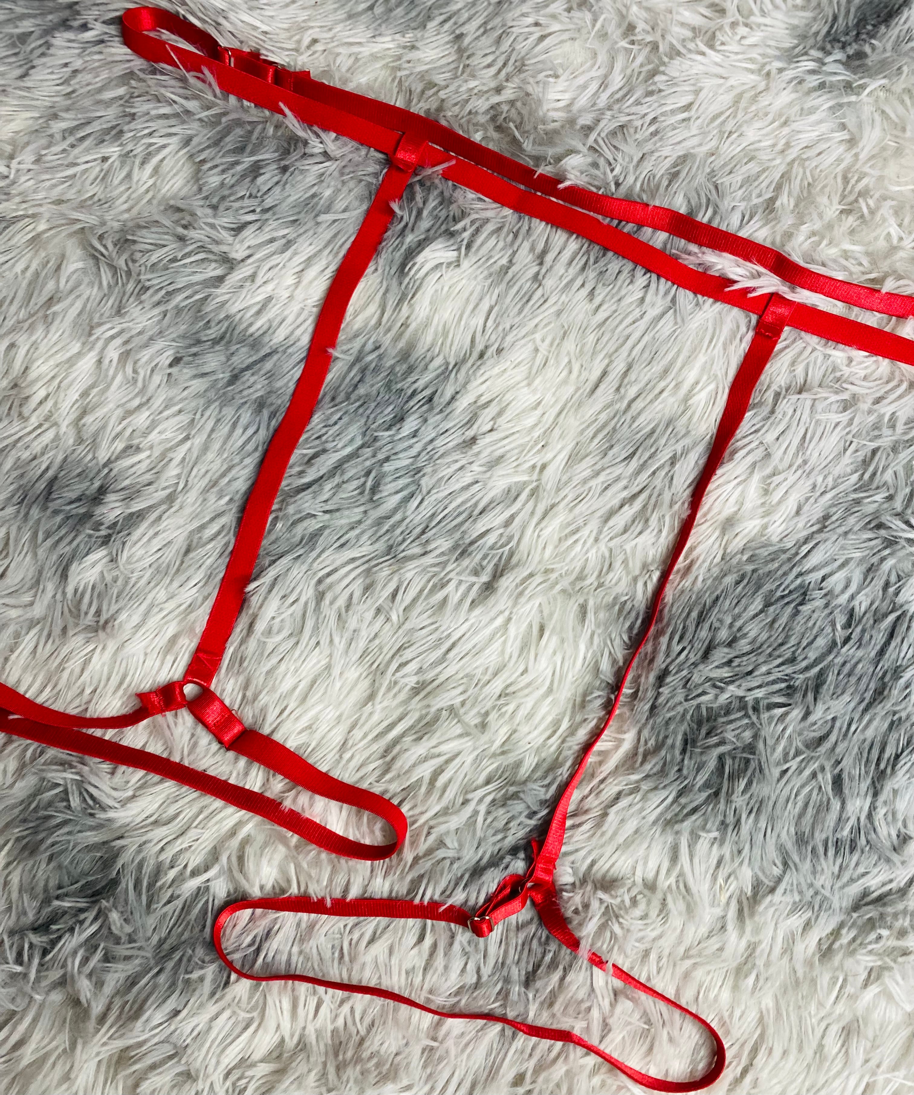 ARNÉS CINTURA Y PIERNAS